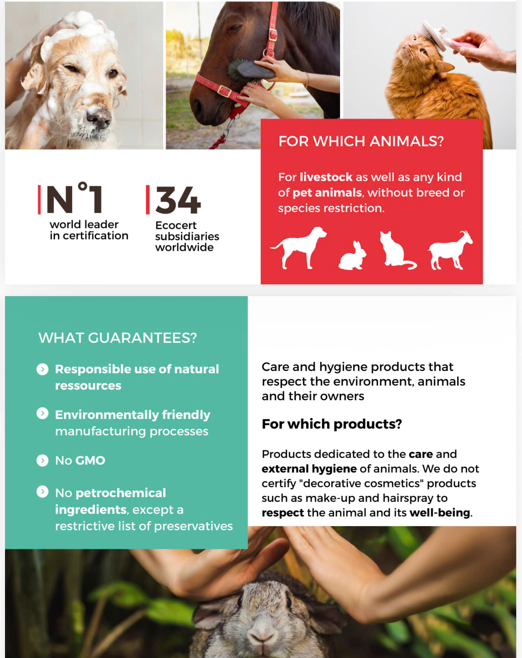 thị trường pet personal care